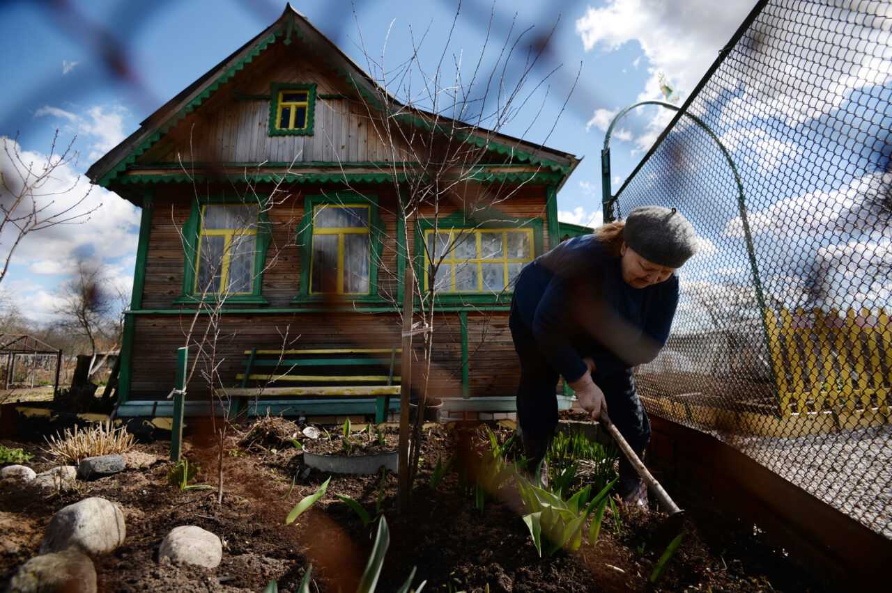 dacha-1280x852.jpg